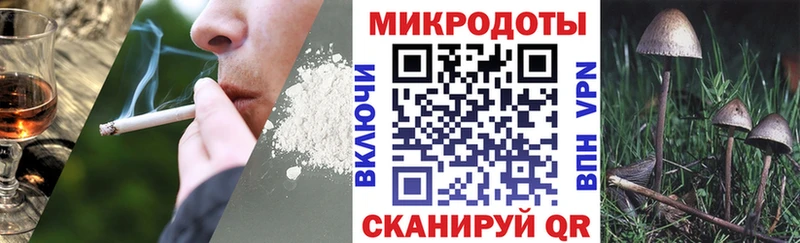 Галлюциногенные грибы Cubensis Гдов