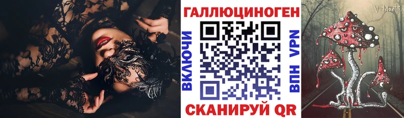 Псилоцибиновые грибы Psilocybe Гдов