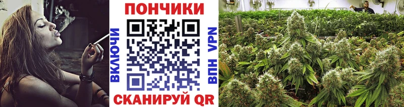 МАРИХУАНА SATIVA & INDICA Гдов